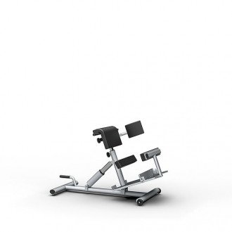 Скамья для гиперэкстензии Proxomed Compass MTT Trunk Trainer Combi в Самаре