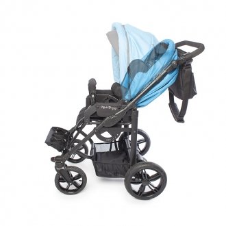 Детская прогулочная коляска ДЦП Liwcare Modi Buggy на раме Rico в Самаре