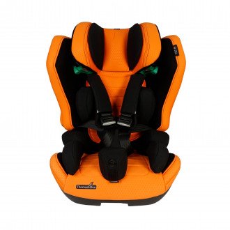 Детское автомобильное кресло ДЦП Thomashilfen RECARO Axion 1 Reha в Самаре