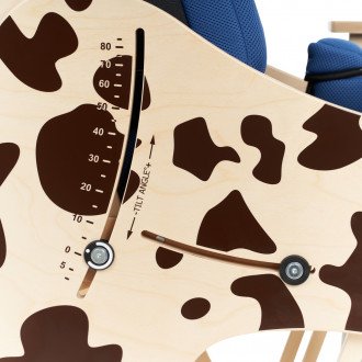 Детская комнатная кресло-коляска Akcesmed Dalmatian Invanto Dt-2 в Самаре