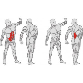 Тренажёр механотерапевтический для мышц пресса и спины Hur Rehabilitation 5310 в Самаре