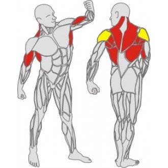 Тренажёр механотерапевтический для рук и спины Hur Rehabilitation 5175 в Самаре