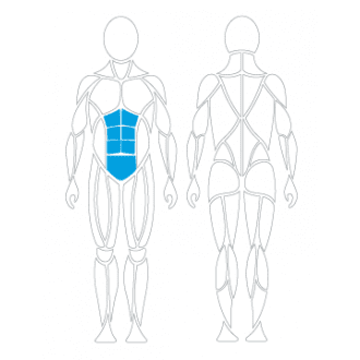 Тренажёр механотерапевтический для пресса David Abdominal Crunch G130 в Самаре