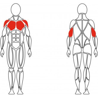 Тренажёр механотерапевтический для мышц груди David Chest Press G510 в Самаре