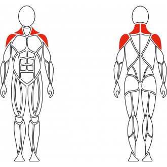 Тренажер механотерапевтический David Shoulder Concept F620 разведение рук в стороны в Самаре