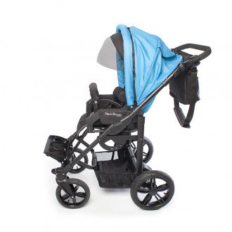 Детская прогулочная коляска ДЦП LIWCare Modi Buggy в Самаре
